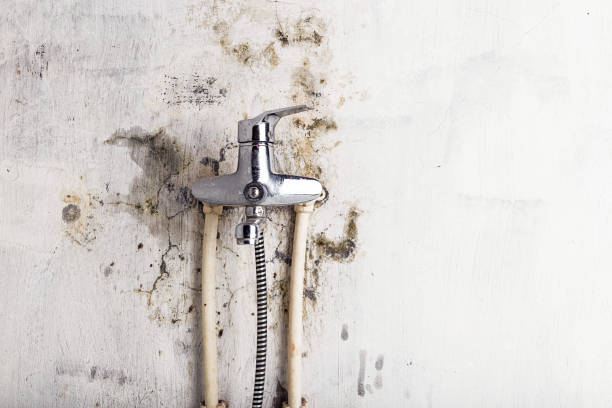 Certified Mold Removal in Valley Center, KS