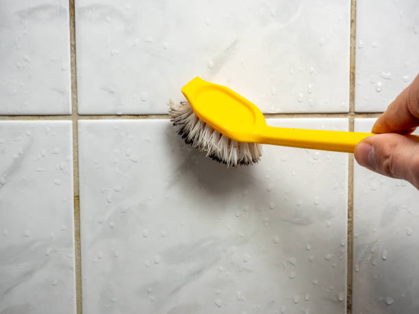 Best Mold Damage Repair  in Valley Center, KS