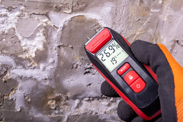 Best Mold Testing  in Valley Center, KS